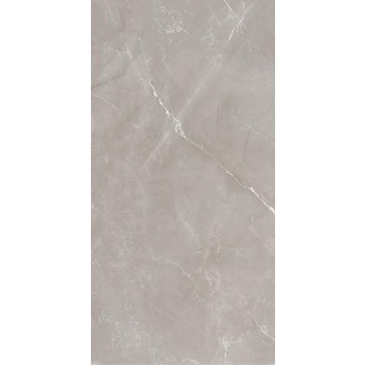 Vitrum Grigio полированный 60x120