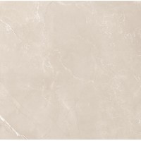 Vitrum Taupe матовый 60x60