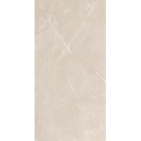 Vitrum Taupe полированный 60x120