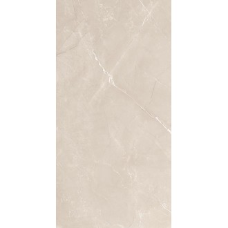 Vitrum Taupe полированный 60x120