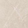 Vitrum Taupe полированный 60x60