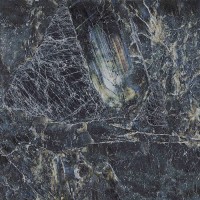 Vivid Blu Labradorite Pulido 59,55x59,55