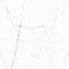 Vivid White Calacatta Pulido 59,55x59,55