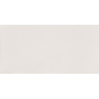 W- Reflection White 29.8x59.8