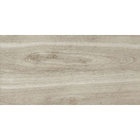 W1206036 Rubber Matte серый 60х120