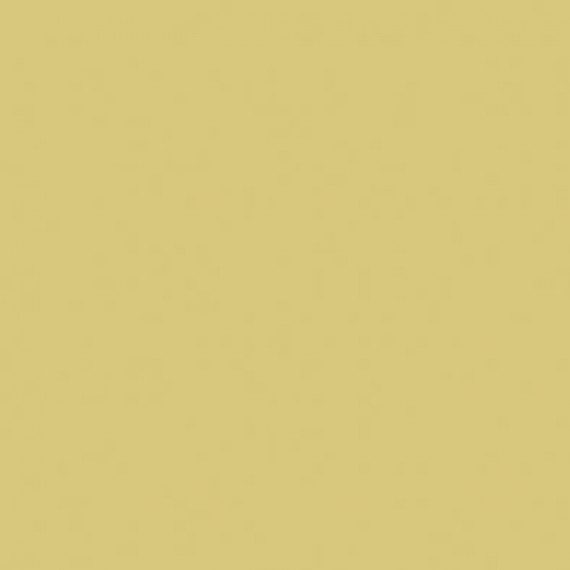 Керамическая плитка WAA1N200 Color One 20*20