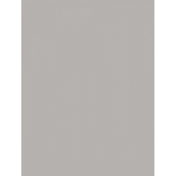 Керамическая плитка WAAKB010 CONCEPT Plus Grey 25x33