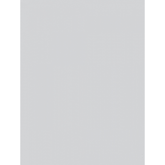 Керамическая плитка WAAKB012 CONCEPT Plus Light Grey 25x33