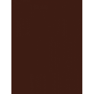 WAAKB109 CONCEPT Brown 25x33