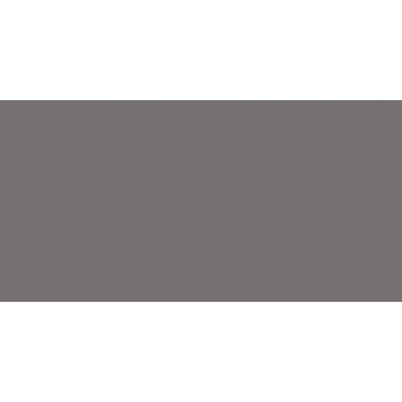 Керамическая плитка WAAMB011 CONCEPT PLUS Dark Grey 20x40