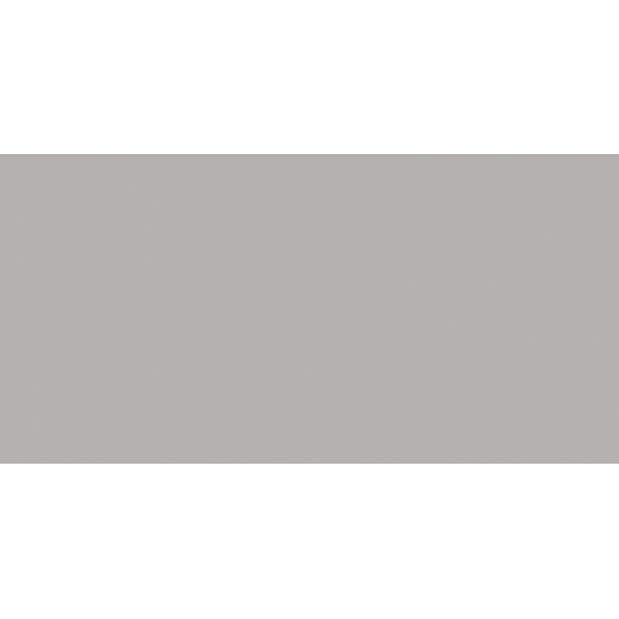 Керамическая плитка WAAMB110 CONCEPT Grey 20x40