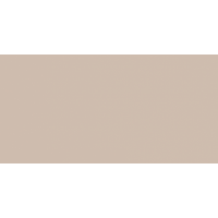 WAAV4008 CONCEPT PLUS Beige 30x60
