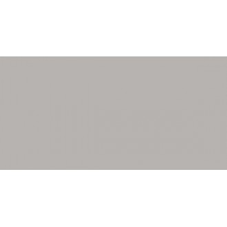 WAAV4010 CONCEPT PLUS Grey 30x60