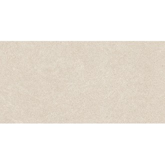 WARV4260 BETONICO 30x60