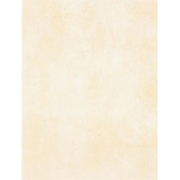 WATKB230 PATINA light beige 25x33