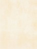 WATKB230 PATINA light beige 25x33