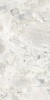 WF621LR Fusion Wildflower Shell Levigato-Matt 60,4x120,8