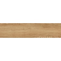 WGJ11F41600A Legenda Beige матовый 15x60