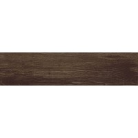 WGJ12F41600A Legenda Brown матовый 15x60