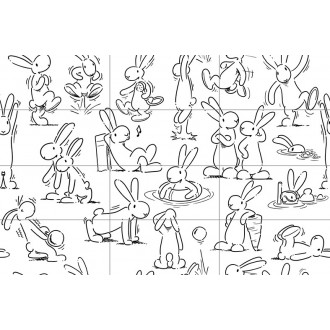 WIDMB210 PLAY 20x40