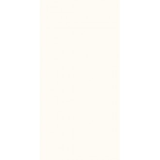 WONDERWALL TILES BLANC NATURAL 50x100