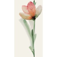 WONDERWALL TILES FREUR A NATURAL 50x100