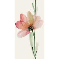WONDERWALL TILES FREUR B NATURAL 50x100