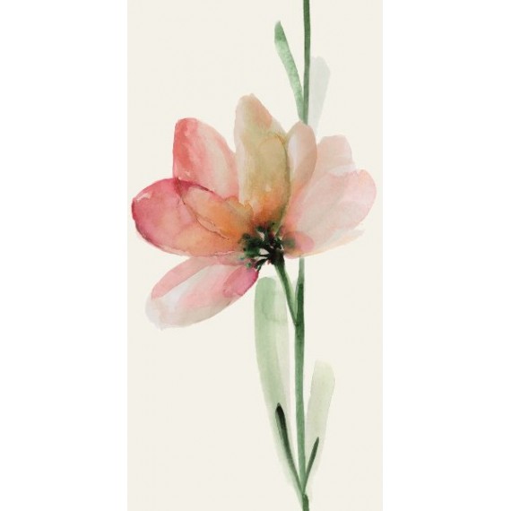 Керамогранит WONDERWALL TILES FREUR B NATURAL 50x100