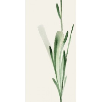 WONDERWALL TILES FREUR C NATURAL 50x100