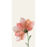 WONDERWALL TILES FREUR D NATURAL 50x100