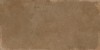 WT36ELR21 Плитка Elbrus Marron 300x600x9