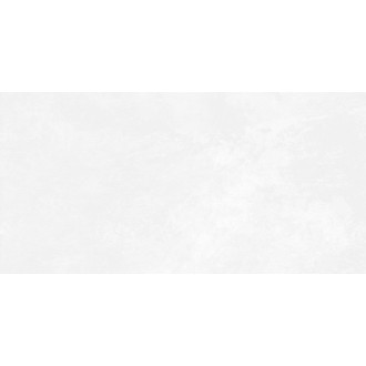 WT9ANR00 Плитка Antre White 24.9х50