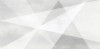 WT9SHG00 Плитка Shape Geometric White 24.9х50
