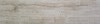 Wild PRI Beige 15.3x58.9