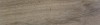 Wild PRI Taupe 15.3x58.9