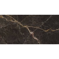 Windsor black 60x120