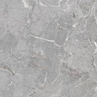 Wixon Grey Shiny Sugar 60x60