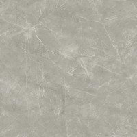 Wolf Grey 80х80