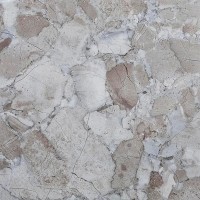 XJC088 60x60
