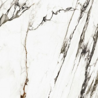 Xlight Paonazzo Biondo Pulido 120x120