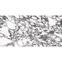 Xlight Premium Viola Blue Pulido 120x250