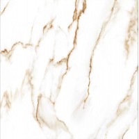 Y99126 Керамогранит Глянец 80x80
