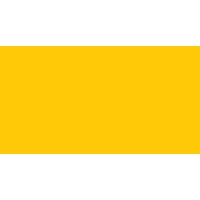 YELLOW R.1 32.7X59.3