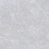 Z66N06 Керамогранит Матовый 60x60