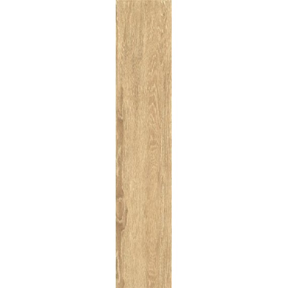 Керамогранит ZC 1023058 rect.. 20x100