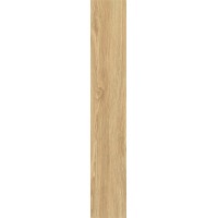 ZC 1223098 rect. 20x120