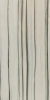 ZEBRINO Rectified Parlak Nano 60х120