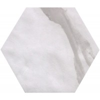 fLVD Roma Statuario Esagono 25x21.6