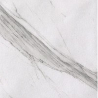 fLX4 Roma Statuario 20x20