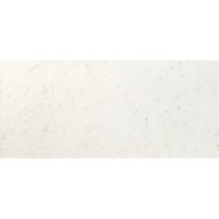 fNHF Roma Diamond Carrara Brillante 50x110